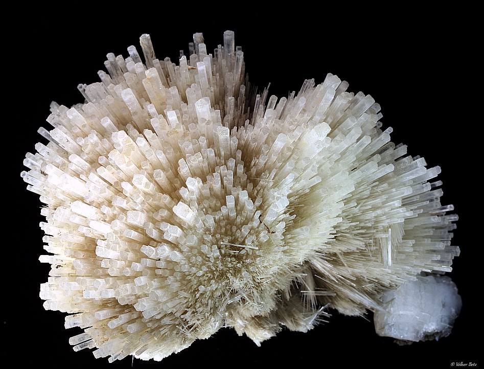 Mesolith