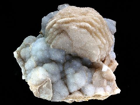 calcit_rosette