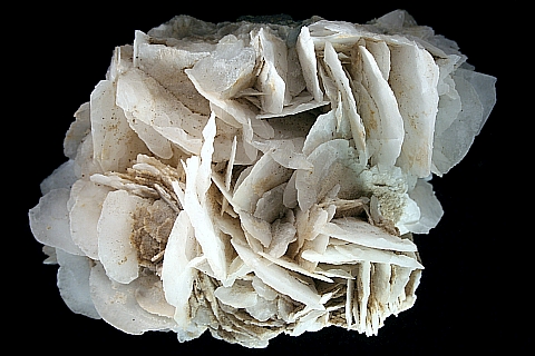 Bl&auml;tterspat